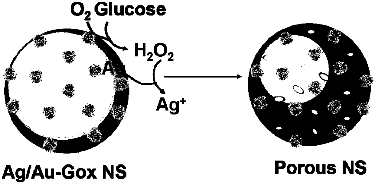 Nano particles and application thereof