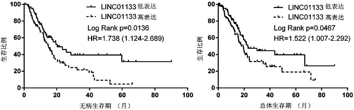 Pancreatic duct adenocarcinoma marker and application thereof