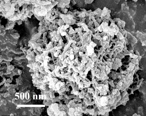 Preparation method and water photolysis hydrogen production application of covalently bonded titanium dioxide@TpPa-1 composite material