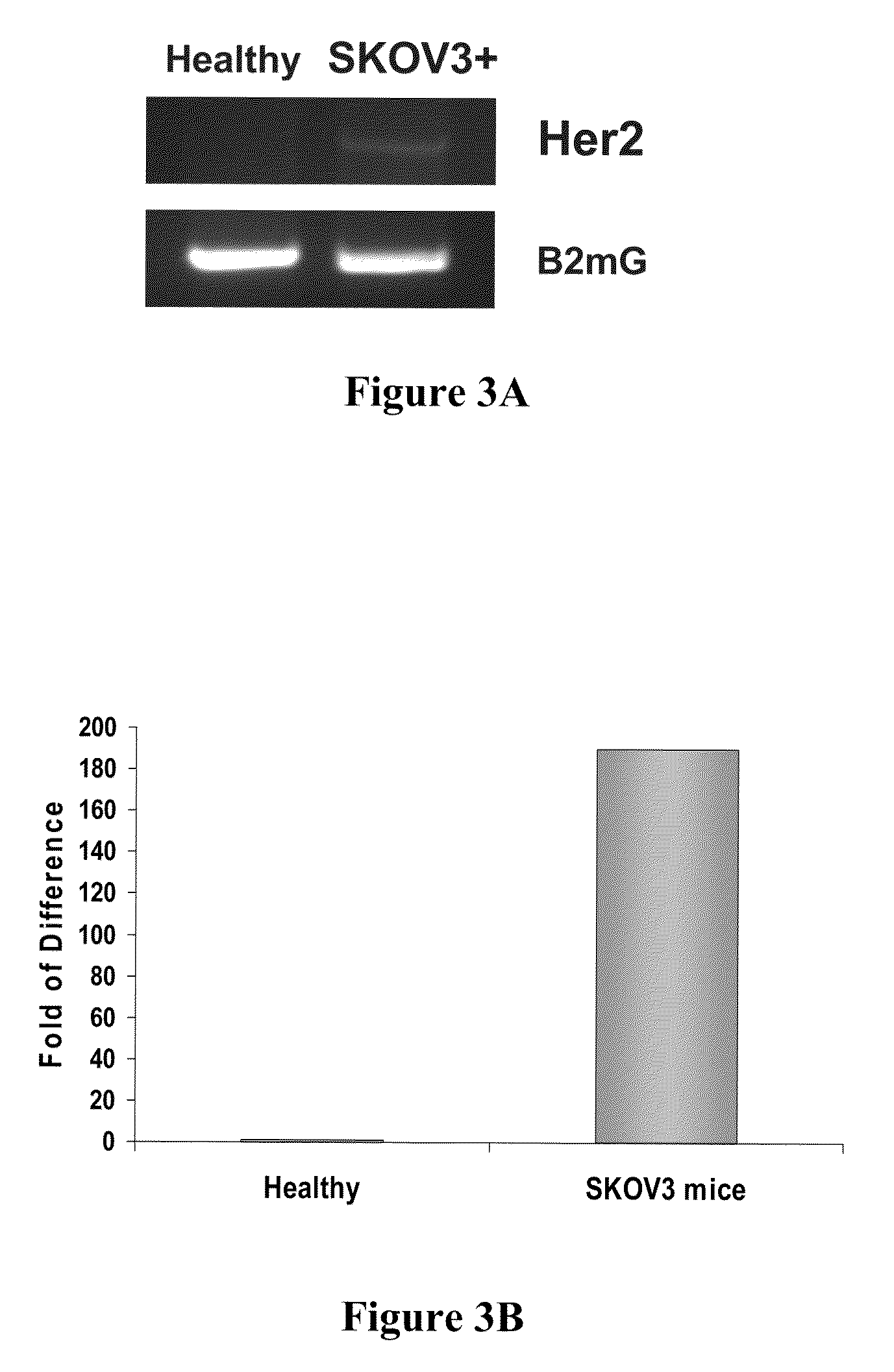 Microvesicle-based compositions and methods