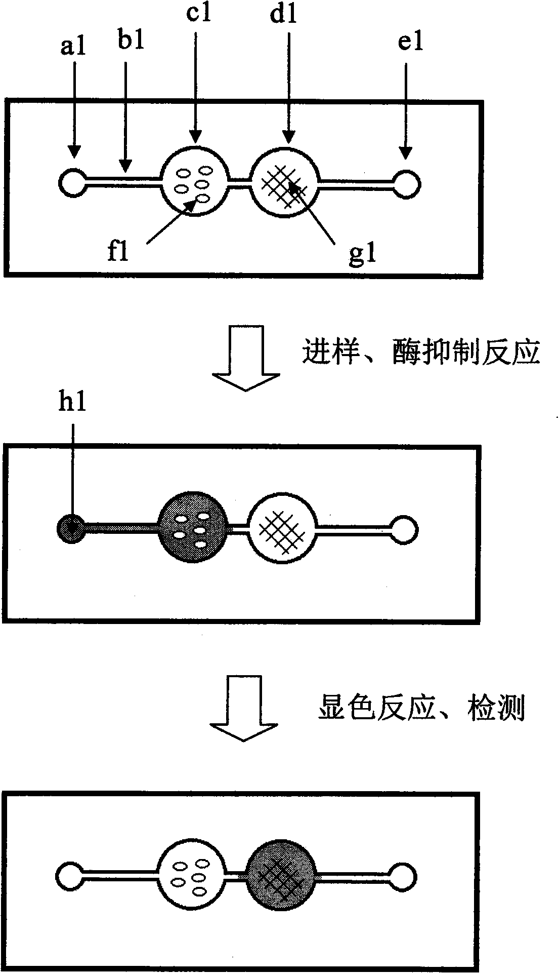 Micro-fluidic chip system and method for pesticide residue field detection