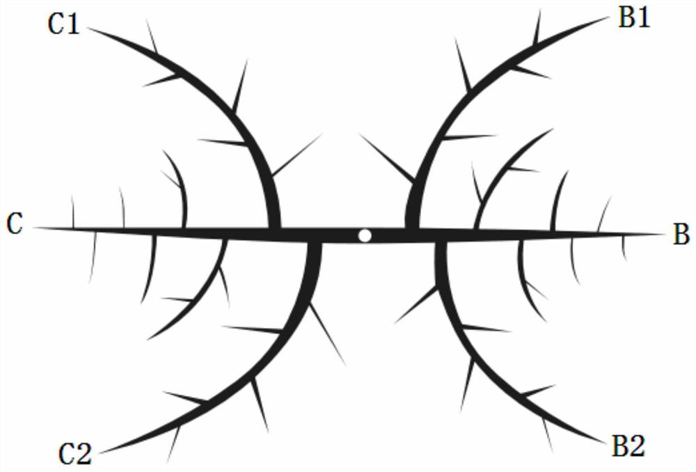 Two-main-branch natural open-centered peach tree form and forming method