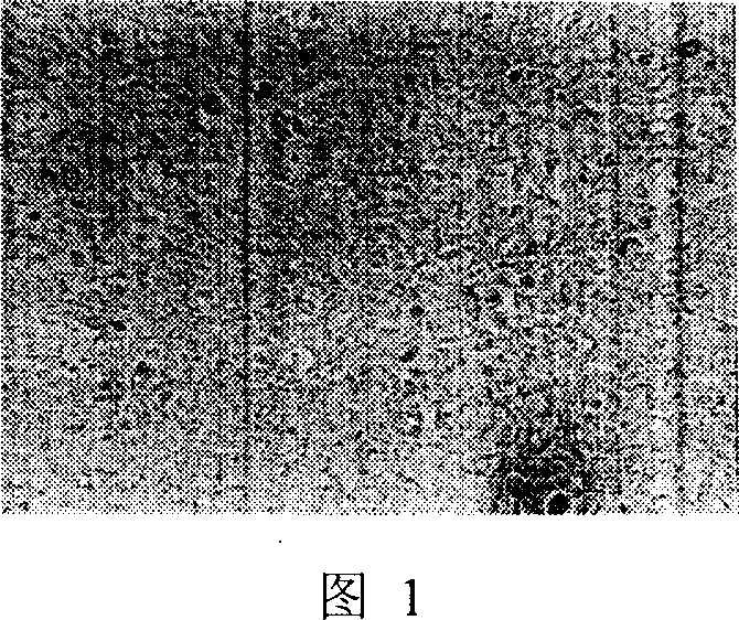 Snake venom polypeptide and its preparation method