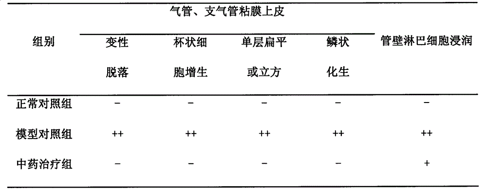 Pharmaceutical composition for treating bronchitis