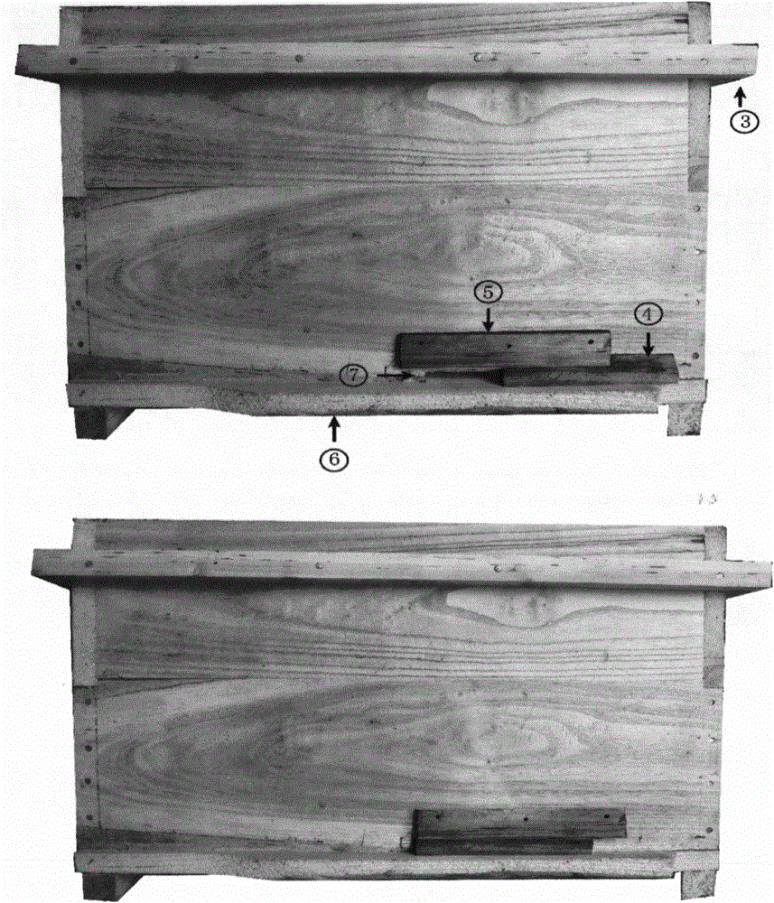 A brood and honey separated beehive