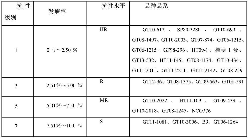 Sugarcane smut resistance determination method based on internet-of-things system