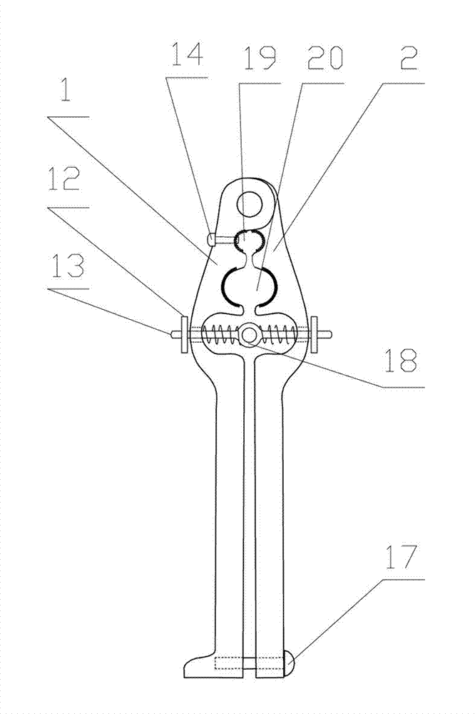 Electric rivet pulling device