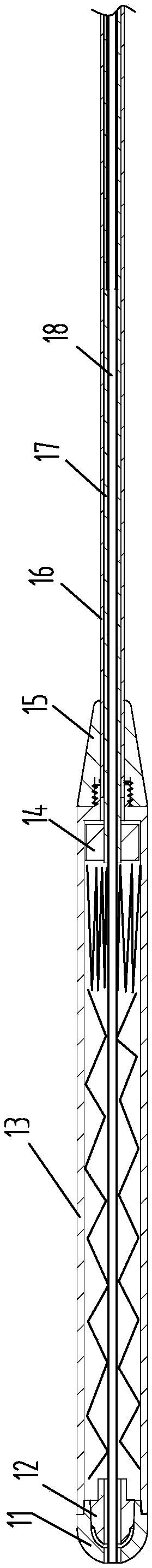 Gastric diversion apparatus and digestive tract stent thereof