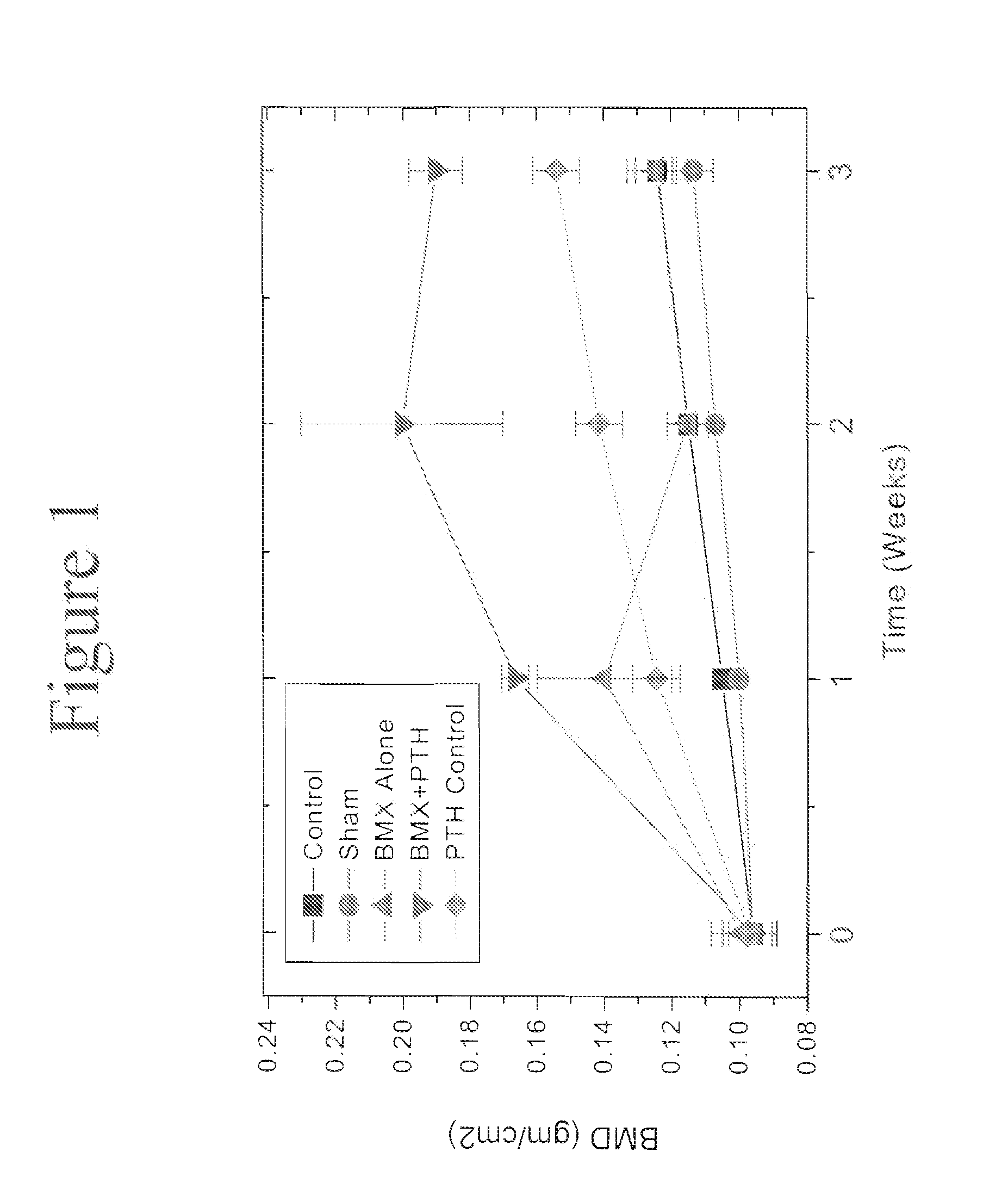 Method for fostering bone formation and preservation