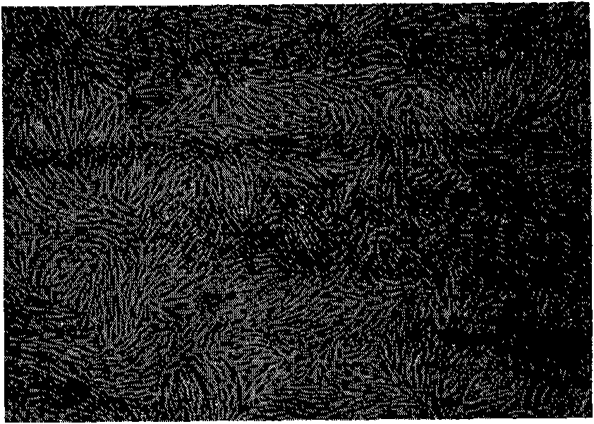 Full-implanted artificial corneal stroma and preparation method thereof