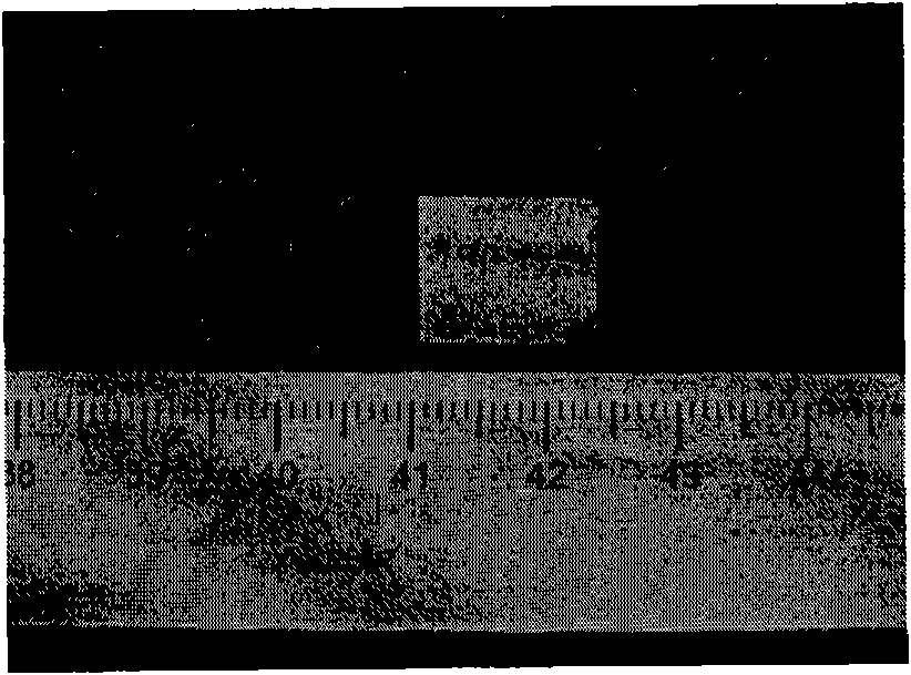 Full-implanted artificial corneal stroma and preparation method thereof