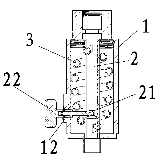 Multifunctional water pipe