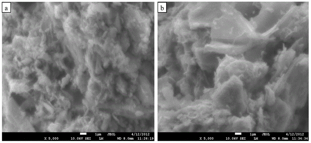 Soil conditioner for preventing and treating tobacco bacterial wilt and application thereof