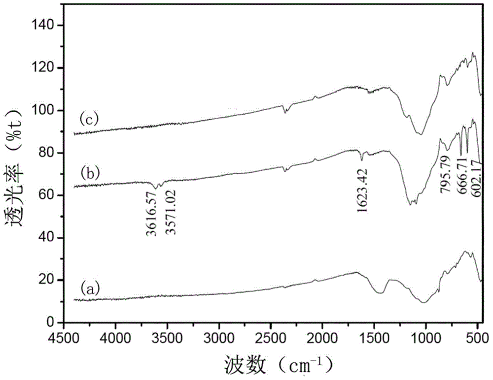 Soil conditioner for preventing and treating tobacco bacterial wilt and application thereof