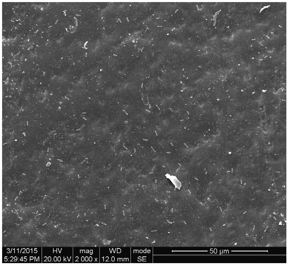 Hollow fiber ultrafiltration membrane with antibacterial and antifouling functions and preparation method thereof