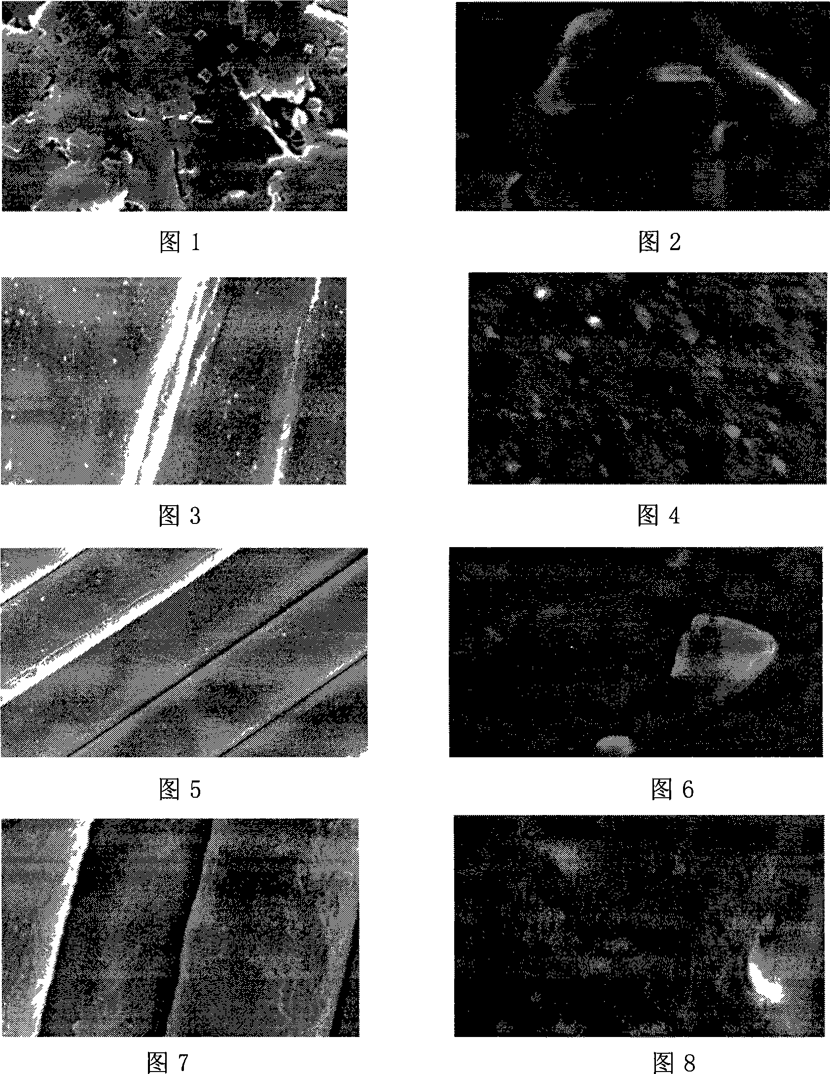 Method for preparing halogen free flame-retarded nylon 6