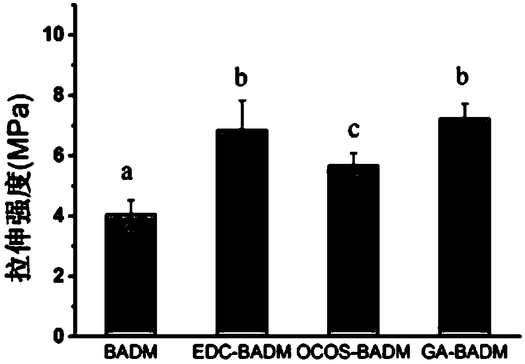 Novel fish skin source oral repair membrane and preparation method thereof