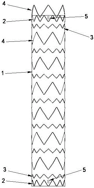 A kind of thoracic aortic stent graft