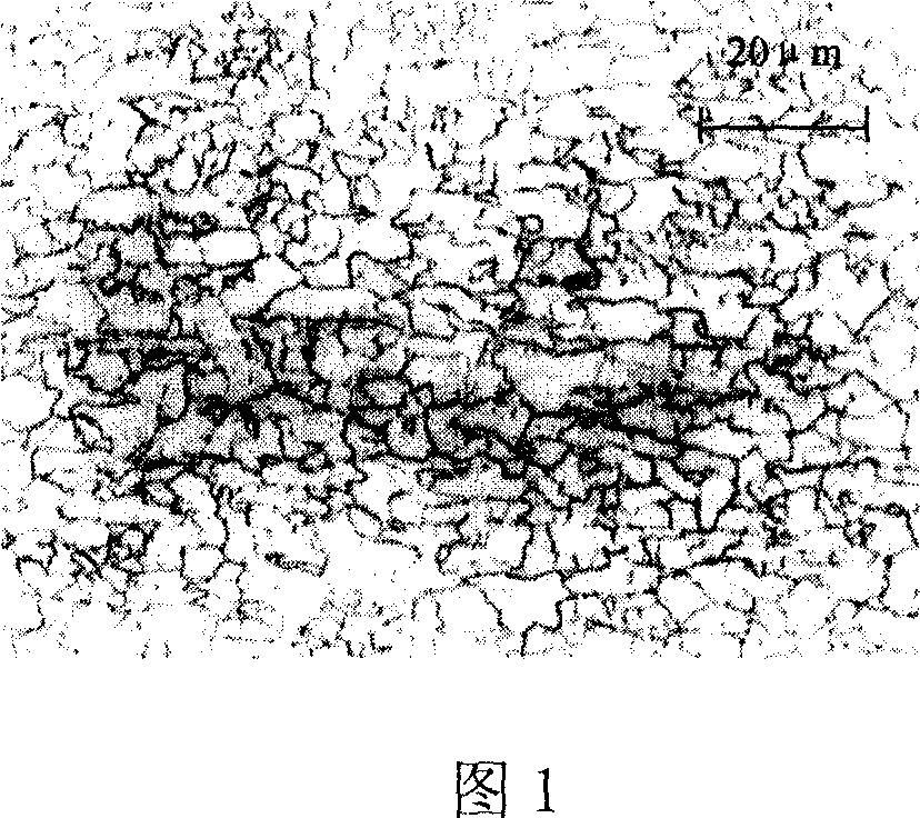 Steel plate for hot-rolled double-side enamel and method for producing same