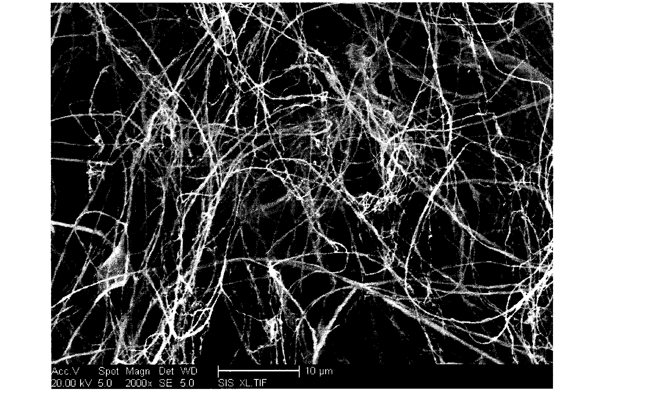 Preparation method of nanometer fibril enteromorpha cellulose