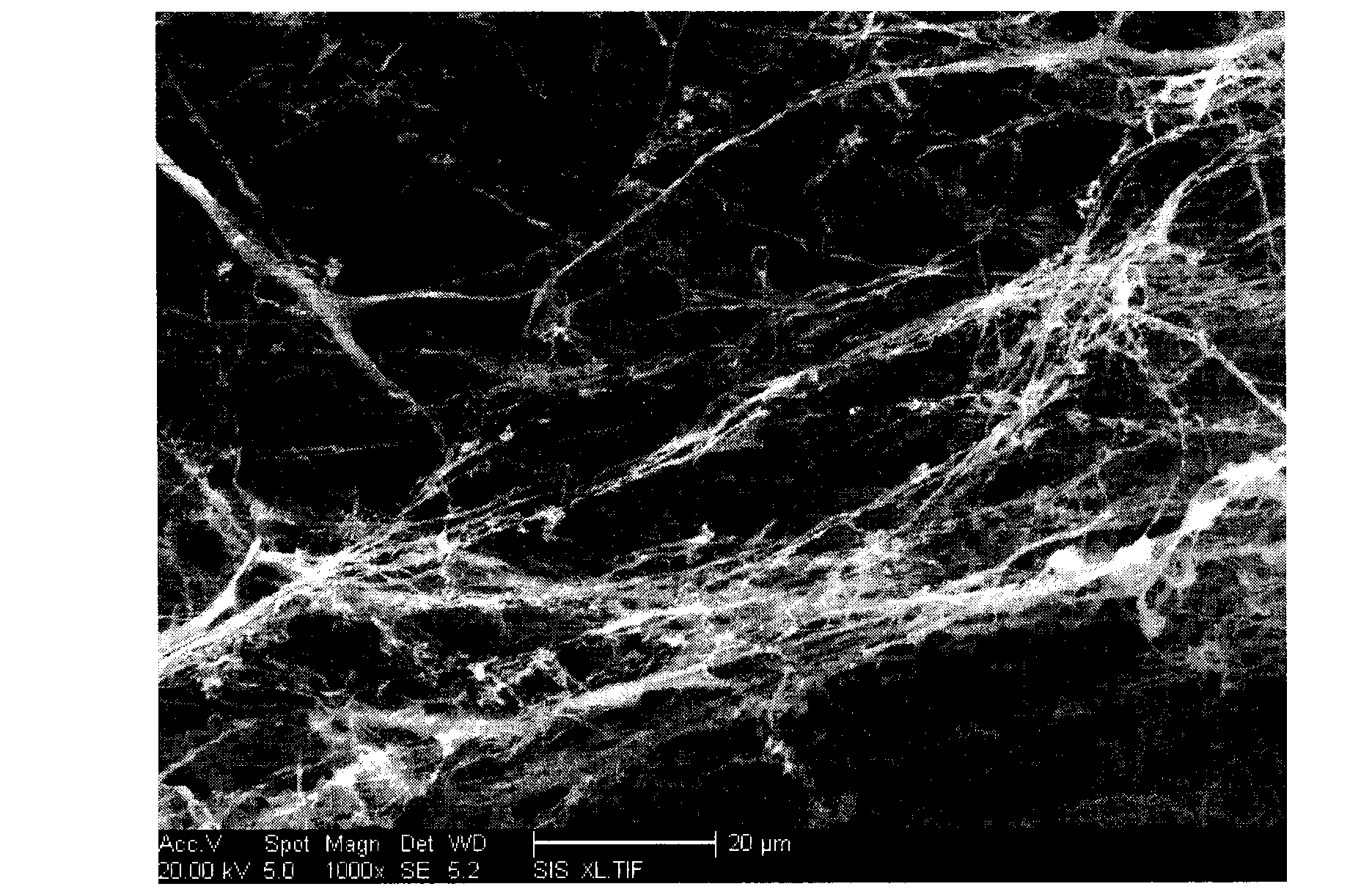 Preparation method of nanometer fibril enteromorpha cellulose