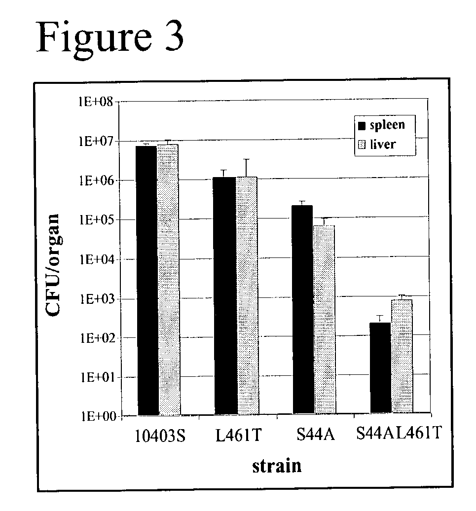 Attenuated Listeria spp. and methods for using the same