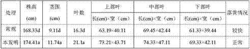 Tobacco Nitrogen and Potassium Fertilizer Application Cultivation Method