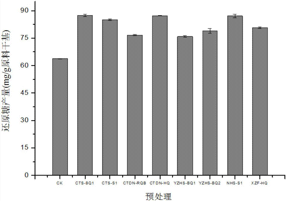 Bacillus for promoting enzymolysis of eichhornia crassipes substrate to produce sugar and application thereof