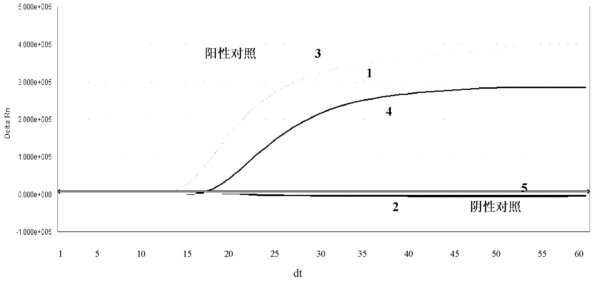 Isothermal amplification method for enterovirus EV nucleic acid