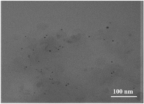 Sulfur-doped g-C3N4/C-dot porous composite photocatalyst and preparing method and application thereof