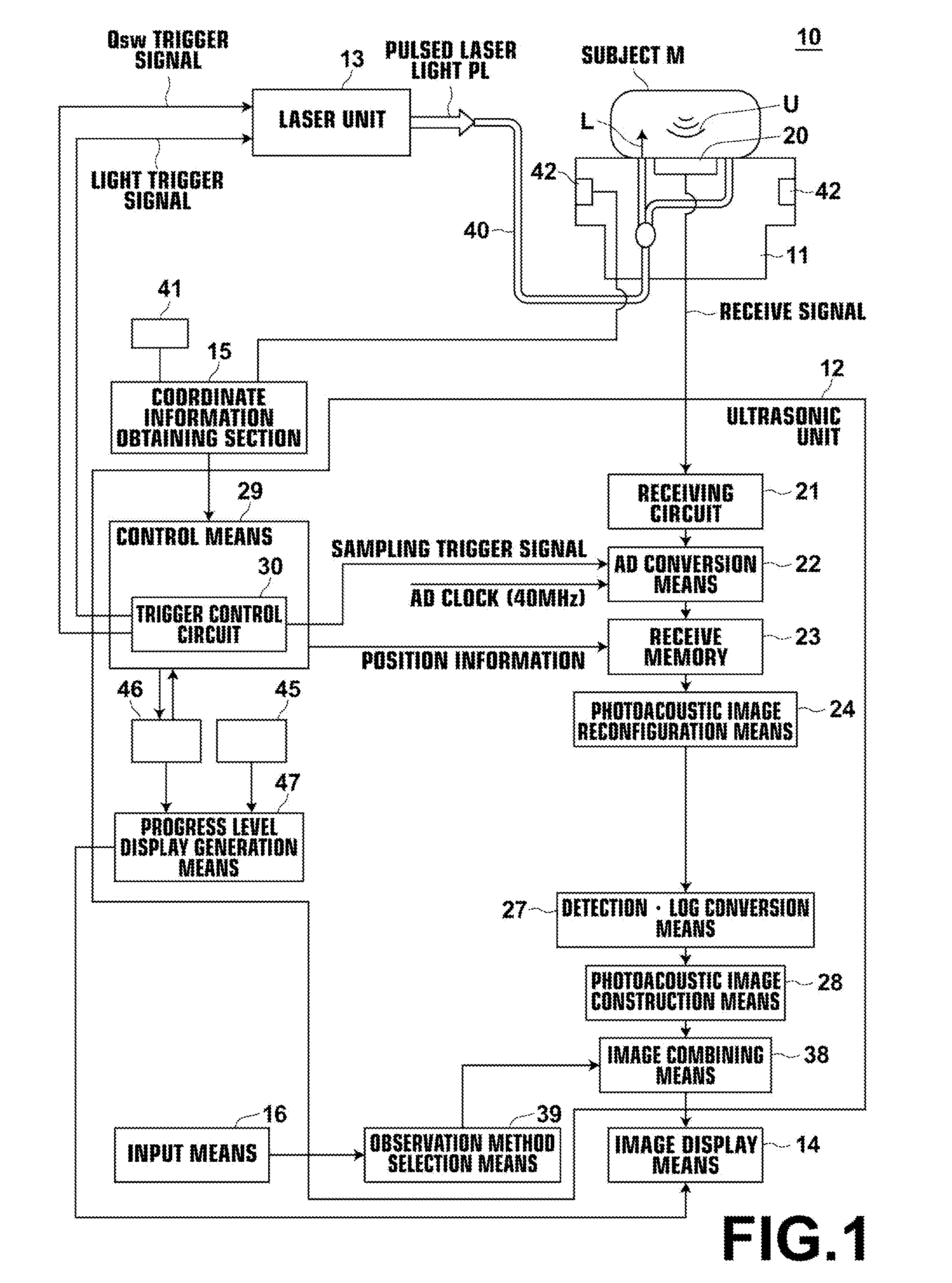 Acoustic image generation apparatus and progress display method in generating an image using the apparatus