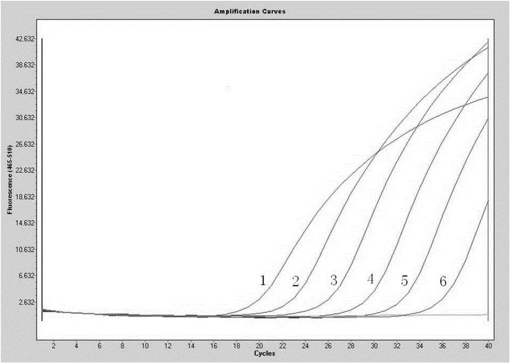 Method and kit for detecting mouse genotype knockout of apolipoprotein M gene