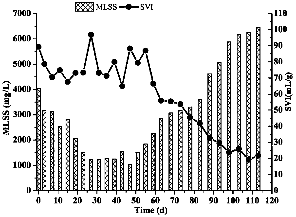 Method for achieving fast cultivation of shortcut nitrifying granule sludge