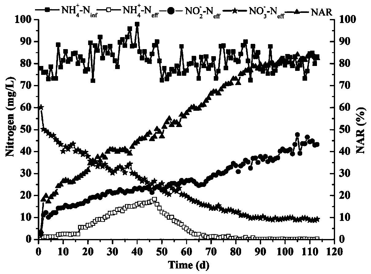 Method for achieving fast cultivation of shortcut nitrifying granule sludge