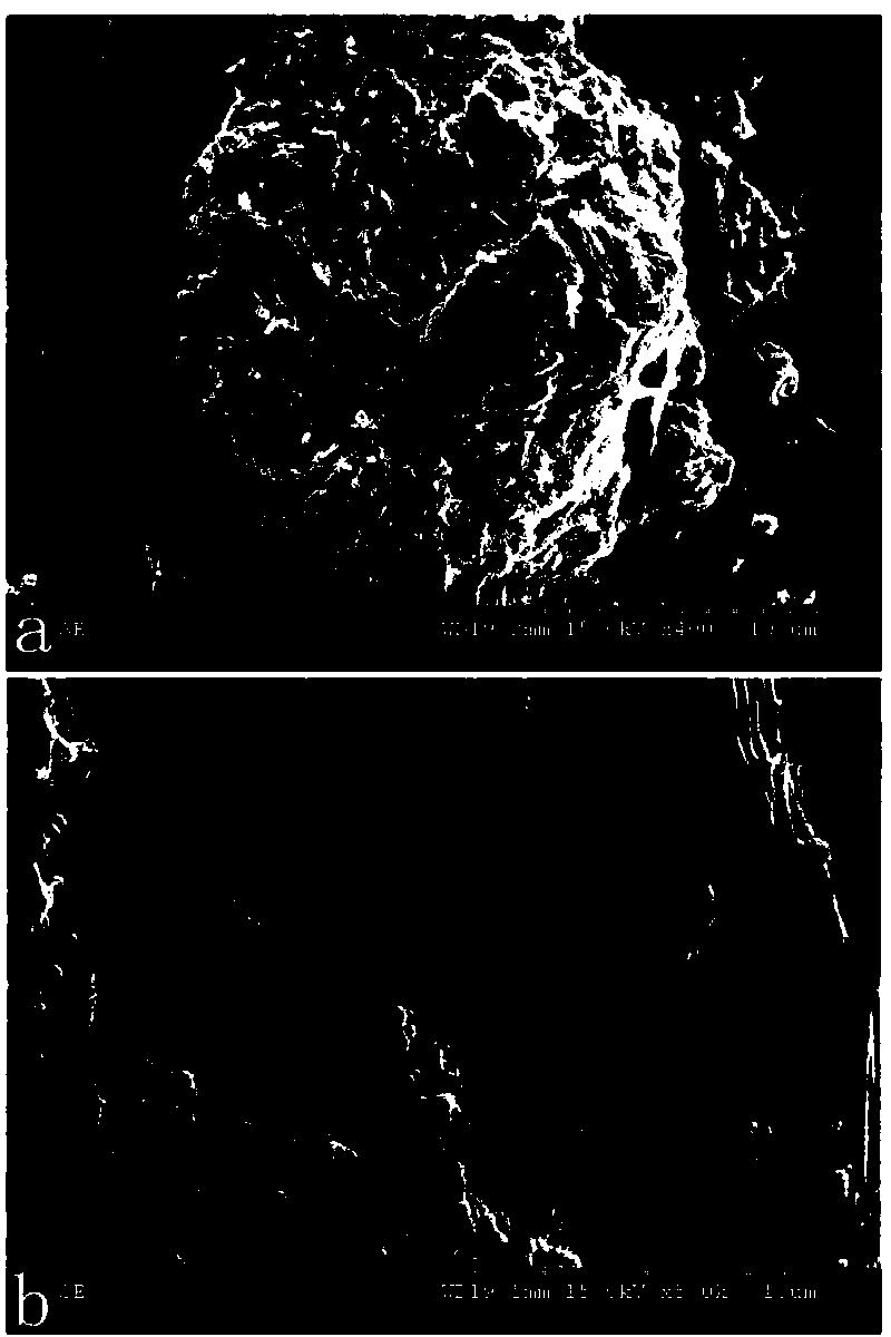 Method for achieving fast cultivation of shortcut nitrifying granule sludge