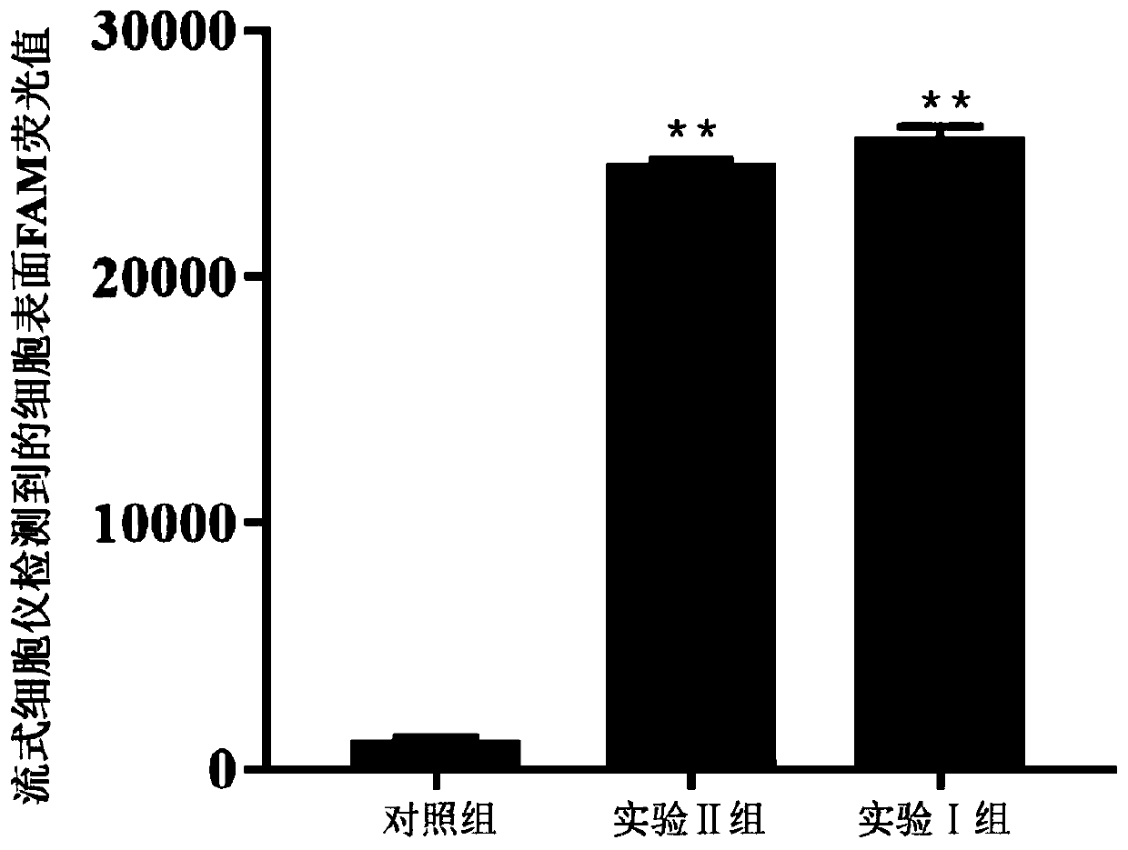 Nucleic acid aptamer and construction method thereof and application thereof in detecting soft-shelled turtle iridovirus