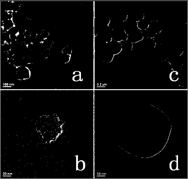 A kind of magnetic phenylphosphine palladium composite catalyst and its application