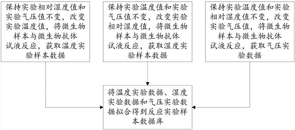 Microorganism detection system and method