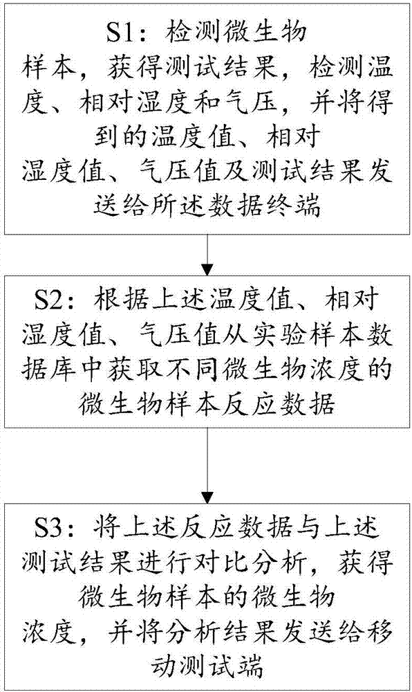 Microorganism detection system and method