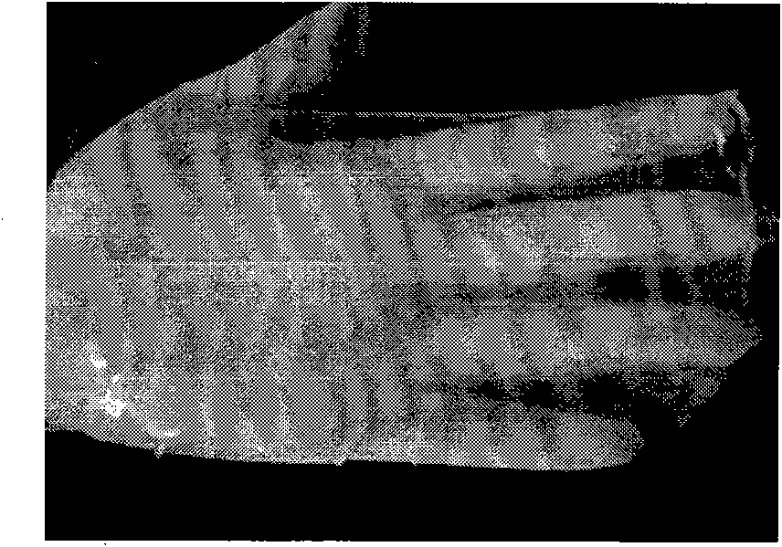 Sulfadiazine silver controlled-release gel and preparation method thereof