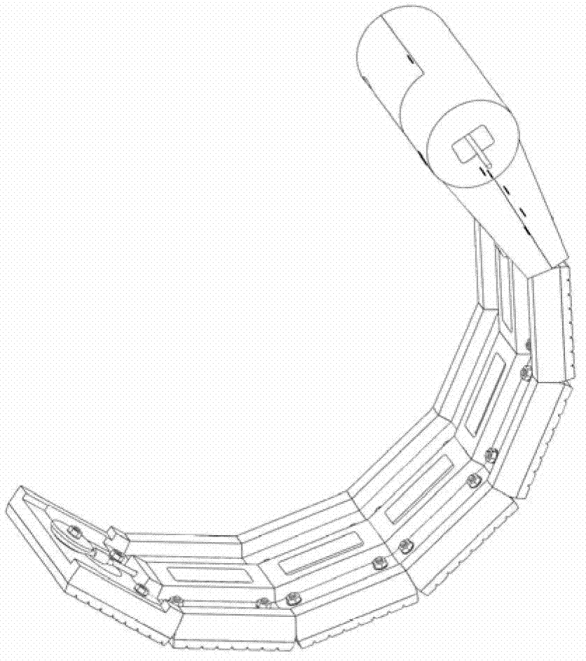 Amphibious robot with deformable foot-web compounded propulsion mechanism