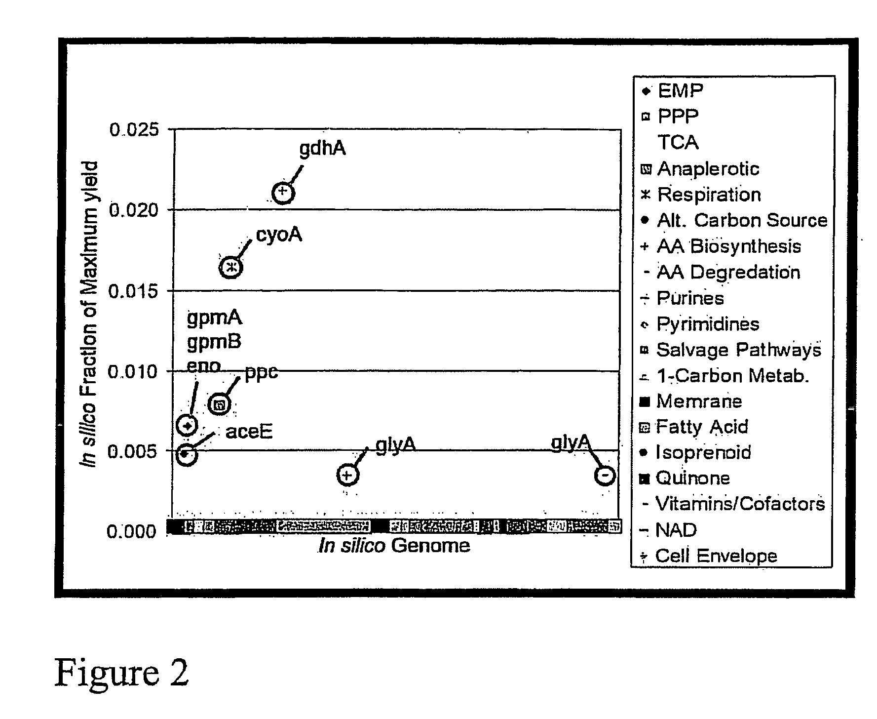 Gene targets for enhanced carotenoid production