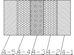 Polymer matrix heating dehumidification device used in shoe