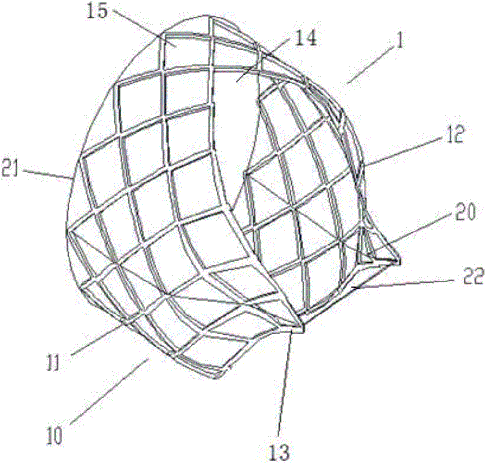 Device for treating lung of patient