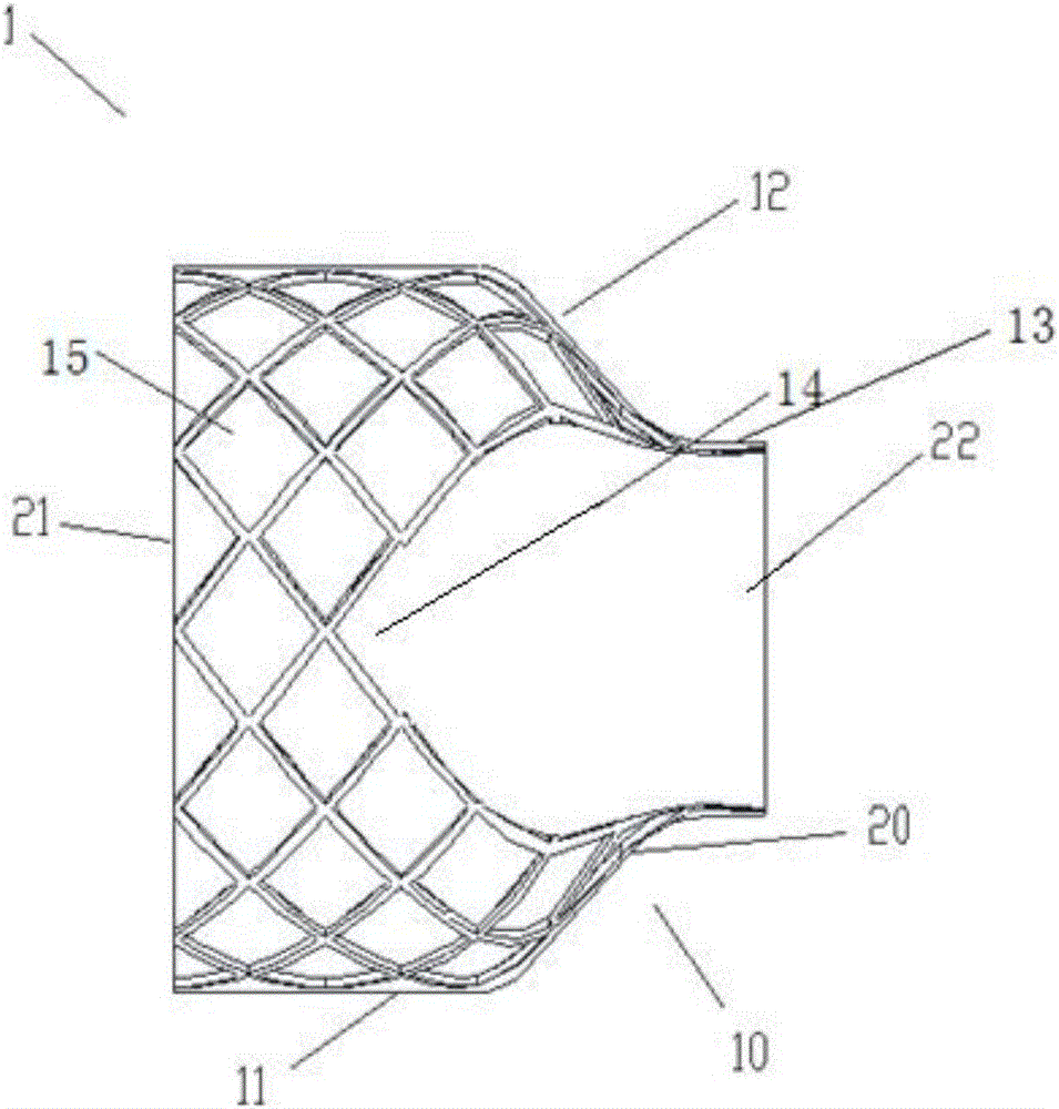 Device for treating lung of patient