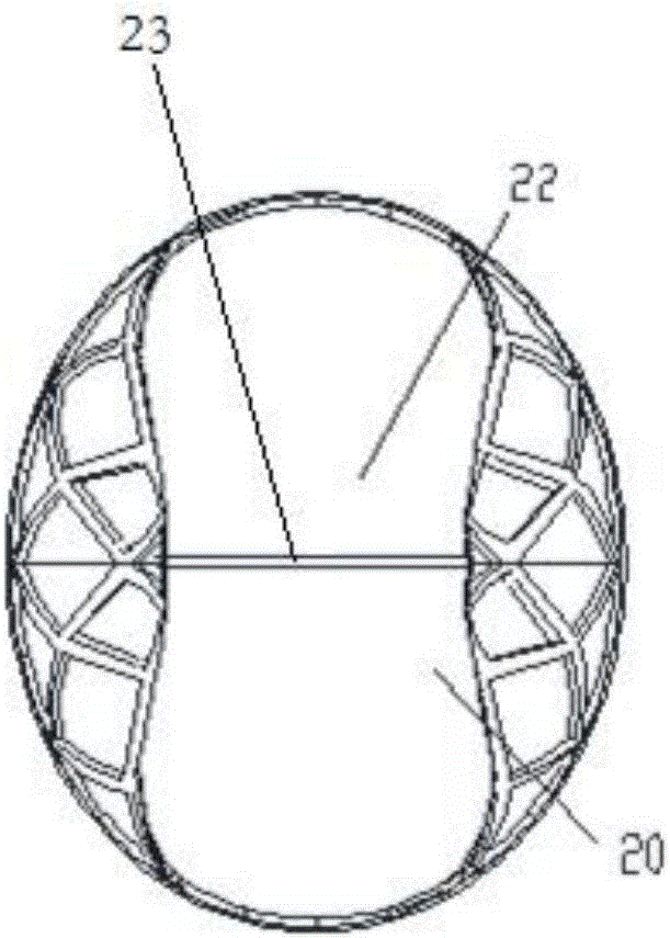 Device for treating lung of patient