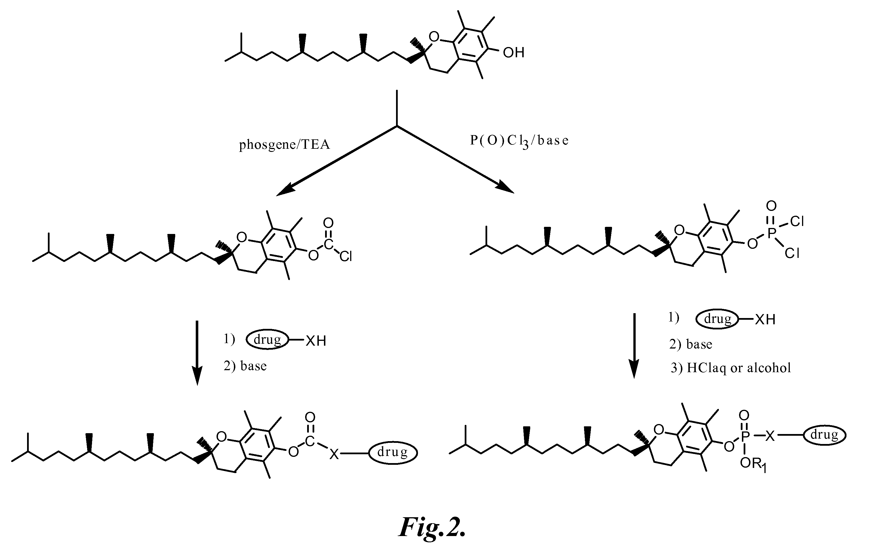 Tocopherol-modified therapeutic drug compounds