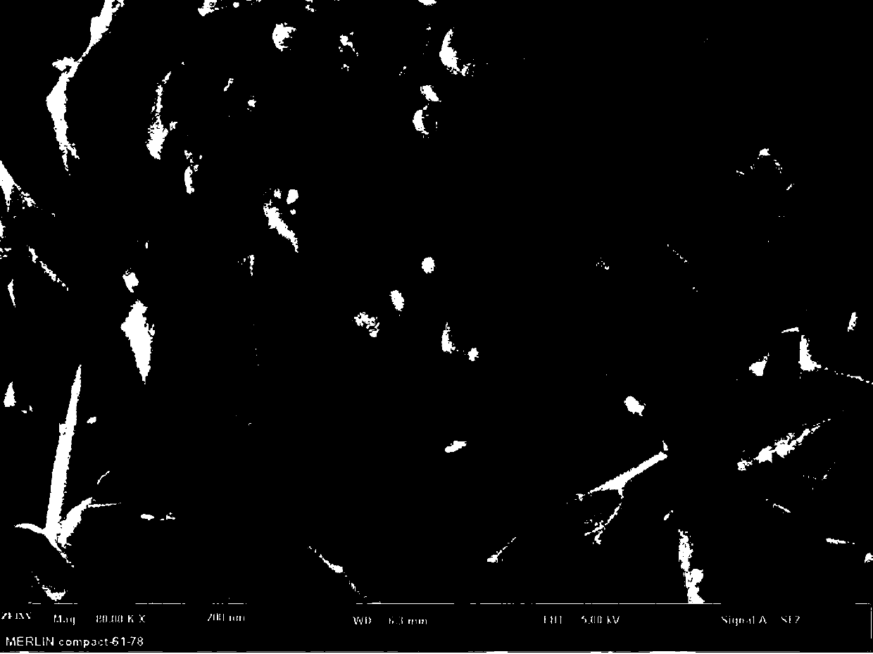 Method for preparing Aurivillius-phase SrBiFeCoTiO material through microwave sintering and product prepared by method