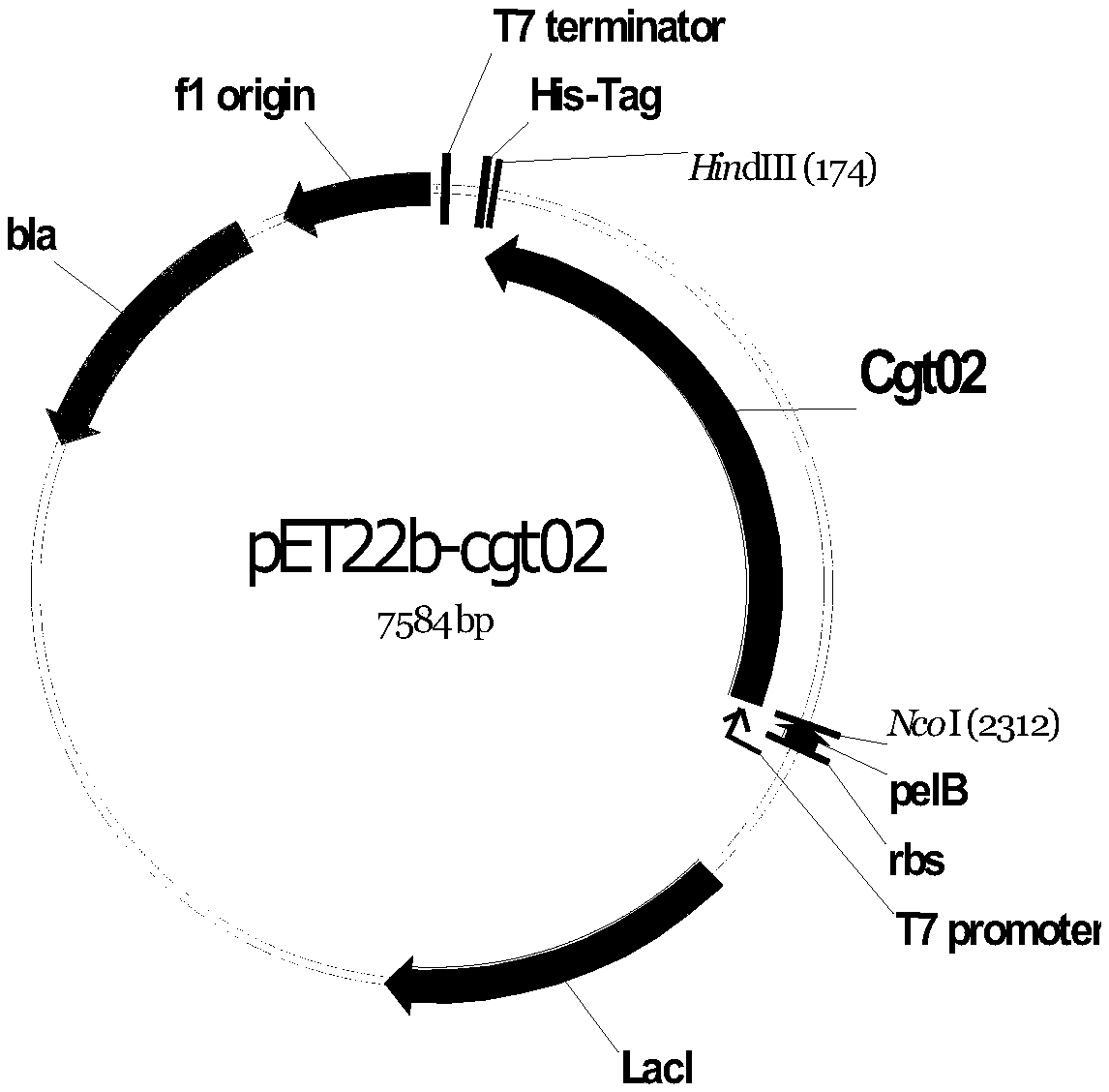 Application of cyclodextrin glycosyltransferase in production of alpha-glycosyl hesperidin