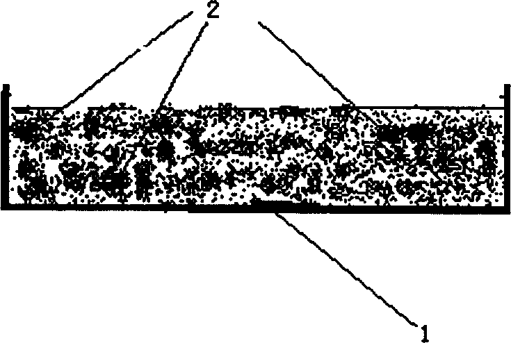 Weathering-resistant and permeable adhesive for paving a road and its constitutional body